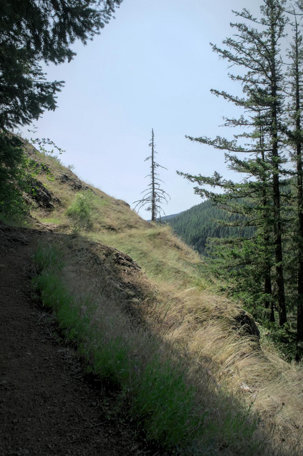 Trail Conservation