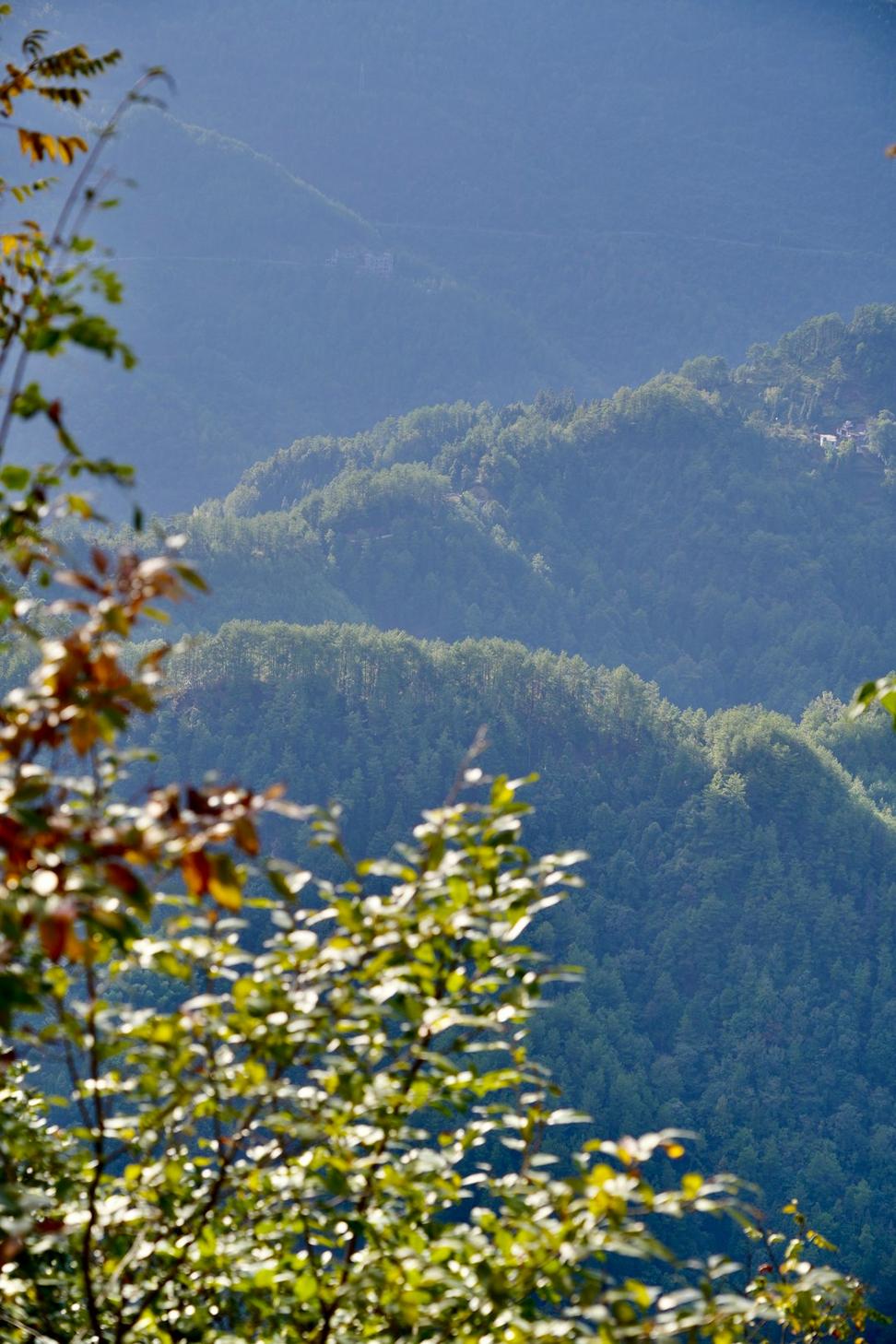 Mountain Conservation