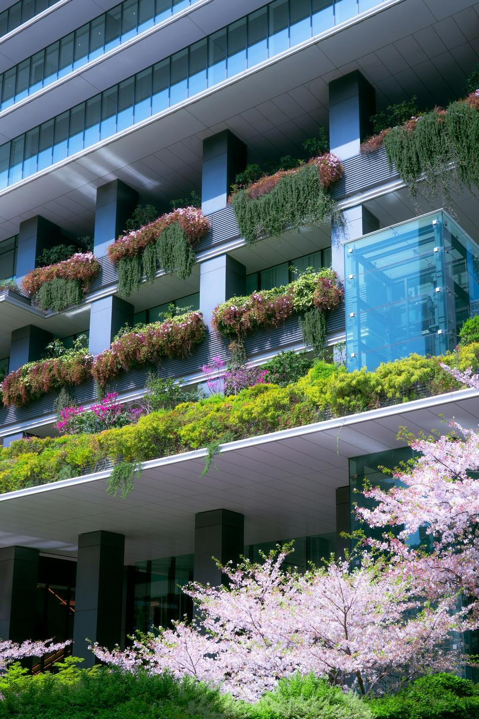 Sustainability Initiatives